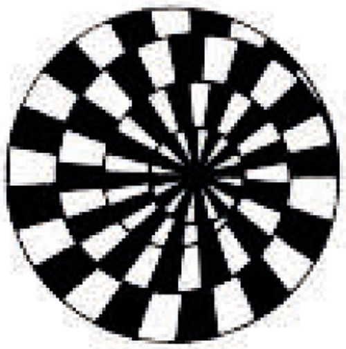 img1.jpg